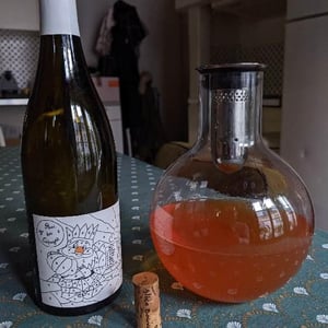 Domaine de l'Octavin - Alice Bouvot - Le Roi des Cépages