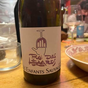 Le Roi Des Lézards - Les Enfants Sauvages - Nikolaus & Caroline Bantlin -2020