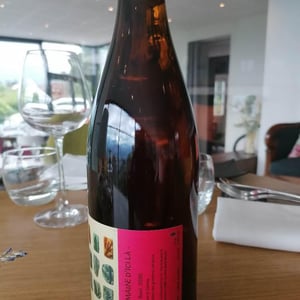Le Rosé - Domaine D'ici là - adrien-bariol -2020