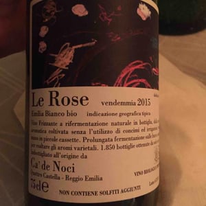 Le Rose - Ca De Noci - alberto-giovanni-masini