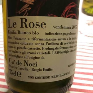 Le Rose - Ca De Noci - Alberto & Giovanni Masini 
