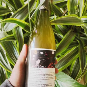 Le Rose - Ca De Noci - alberto-giovanni-masini