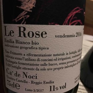 Le Rose - Ca De Noci - Alberto & Giovanni Masini 