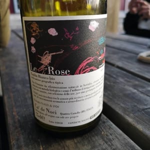 Le Rose 2017 - Ca De Noci - Alberto & Giovanni Masini