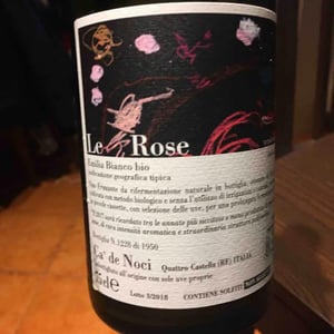 Le Rose - Ca De Noci - alberto-giovanni-masini