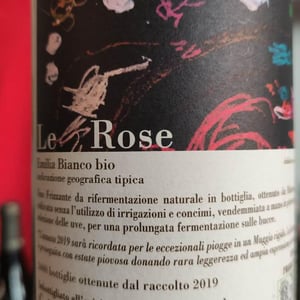 Le Rose - Ca De Noci - Alberto & Giovanni Masini 
