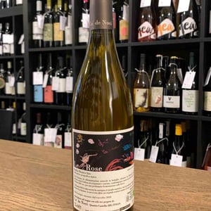 Le Rose - Ca De Noci - alberto-giovanni-masini