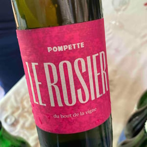 Le Rosier du Bout de la Vigne (X Domaine des Groubeaux) - Pompette - Axel Caubet 