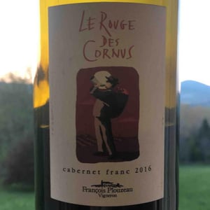 Domaine de la Garreliére - Pascale & François Plouzeau - Le Rouge des Cornus