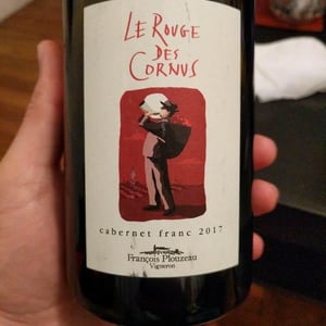 Le Rouge des Cornus - Domaine de la Garreliére - Pascale & François Plouzeau 