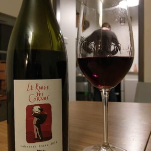 Le Rouge des Cornus 2017 - Domaine de la Garreliére - Pascale & François Plouzeau