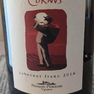 Domaine de la Garreliére - Pascale & François Plouzeau - Le Rouge des Cornus