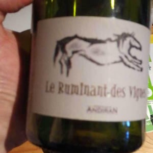 Haut-Campagnau - Dominique Andiran - Le Ruminant Des Vignes