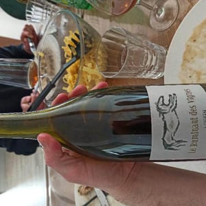 Haut-Campagnau - Dominique Andiran - Le Ruminant Des Vignes