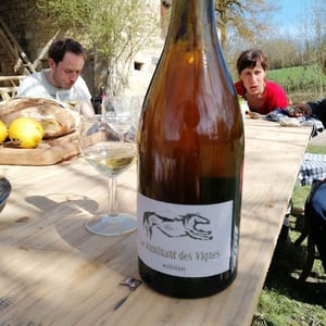 Haut-Campagnau - Dominique Andiran - Le Ruminant Des Vignes