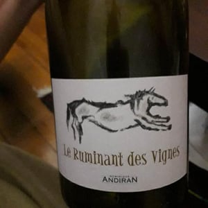 Haut-Campagnau - Dominique Andiran - Le Ruminant Des Vignes