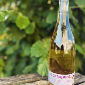 Le Saltimbanque - Domaine Deboutbertin - stephanie-vincent-deboutbertin