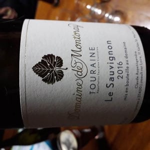 Le Sauvignon - Domaine de Montoray - nicolas-duffard-sylvain-brochot