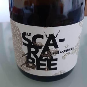 Domaine Christian Binner - Christian Binner et son équipe - Le Scarabée qui Bulle