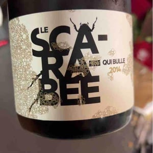 Le Scarabée qui Bulle - Domaine Christian Binner - Christian Binner et son équipe 