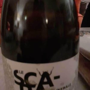 Le Scarabée qui Bulle - Domaine Christian Binner - Christian Binner et son équipe 