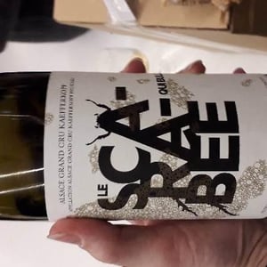 Le Scarabée qui Bulle - Domaine Christian Binner - christian-binner-et-son-equipe