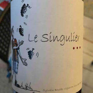 Le singulier - Clos Des Boutes - Sylvain Boutée 