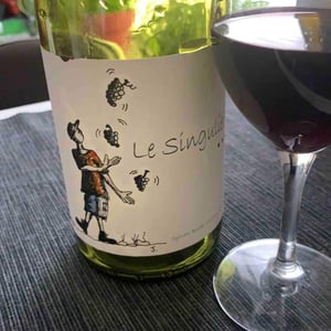 Le singulier - Clos Des Boutes - sylvain-boutee