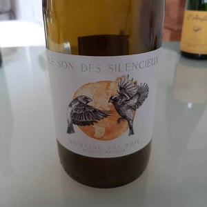 Le Son Des Silencieux - Domaine des Buis - Pauline Broqua 