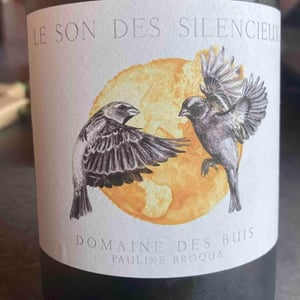 Le Son Des Silencieux - Domaine des Buis - pauline-broqua
