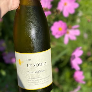 Le Soula Blanc - Le Soula - Wendy Wilson 