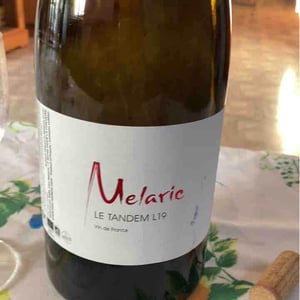 Le Tandem - Domaine Mélaric - aymeric-hillaire-melanie-cunin