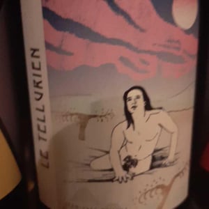 Le Tellurien - Les Vins De Mont-Val - sophie-valancant-jean-yves-domont