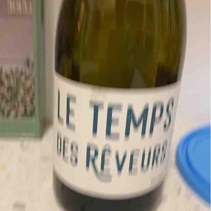 Le Temps Des Rêveurs - Jérôme Maillot - Le Temps Des Rêveurs