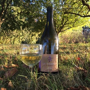 Le Thorey - Domaine Aurélien Febvre - Aurélien Febvre 