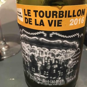 Domaine Jean-Philippe Padié - Jean-Philippe Padié - Le Tourbillon de la Vie (blanc)