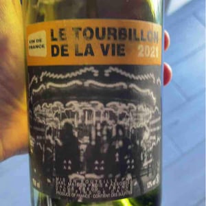 Domaine Jean-Philippe Padié - Jean-Philippe Padié - Le Tourbillon de la Vie (blanc)