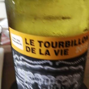 Le Tourbillon de la Vie (blanc) - Domaine Jean-Philippe Padié - jean-philippe-padie