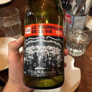 Domaine Jean-Philippe Padié - Jean-Philippe Padié - Le Tourbillon de la Vie (rouge)