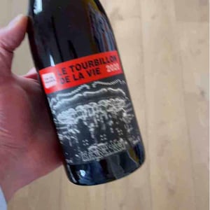Domaine Jean-Philippe Padié - Jean-Philippe Padié - Le Tourbillon de la Vie (rouge)