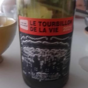 Le Tourbillon de la Vie (rouge) - Domaine Jean-Philippe Padié - Jean-Philippe Padié 