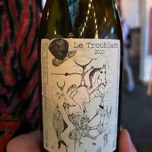 Le Troublant - Morgane Turlier - morgane-turlier -2022