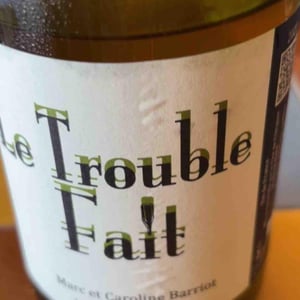 Le Trouble Fait - Clot de l'Origine - Marc & Caroline Barriot 