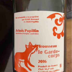 Le Trousseau - Domaine Bornard - Tony Bornard 