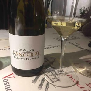 Le Vallon - Domaine Fouassier - benoit-paul-fouassier
