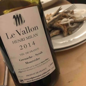 Domaine Milan - Emma, Théophile & Henri Milan - Le Vallon