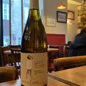 Le Vaurien - Les Vins de Lavie (Muscadet - from 2021) - guillaume-lavie-muscadet-from-2021