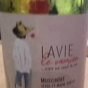 Le Vaurien - Les Vins de Lavie (Muscadet - from 2021) - Guillaume Lavie (Muscadet - from 2021) 
