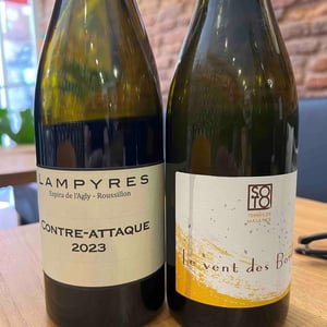 Le vent des Bordes - Domaine Les Terres De Mallyce - Corinne & Yves Soto 