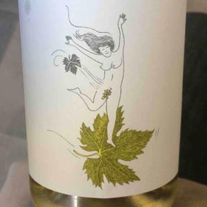 Le Vent Se Lève (Blanc) - Domaine Eole - herve-bessiere